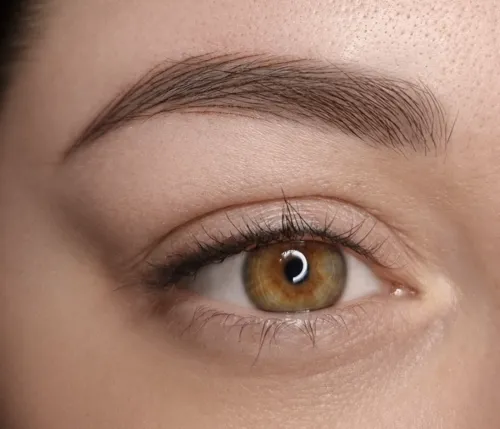 Eyebrow microblading